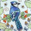 Blue Jay amongst Oak leaves <br> LJT649-PRT