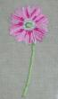 Gerbera (Embroidery)<br> ADC002-PRT