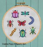Insects (Beetles, Bugs and Butterflies) <br> TAB107-PRT - 4 pages