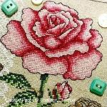 Romantic Rose <br> SWA113-PRT